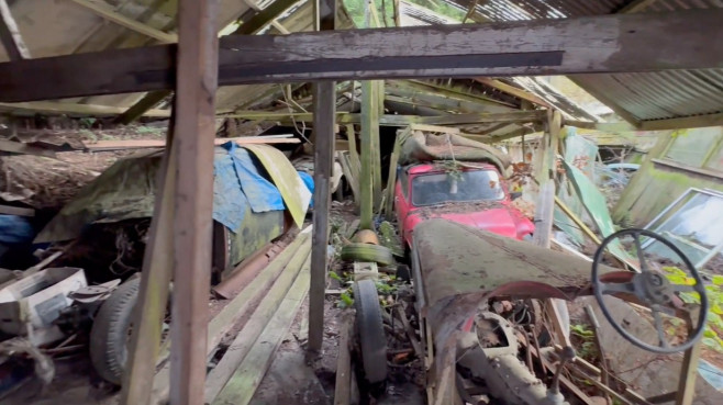 Woman finds vintage car graveyard in 'spooky' UK forest