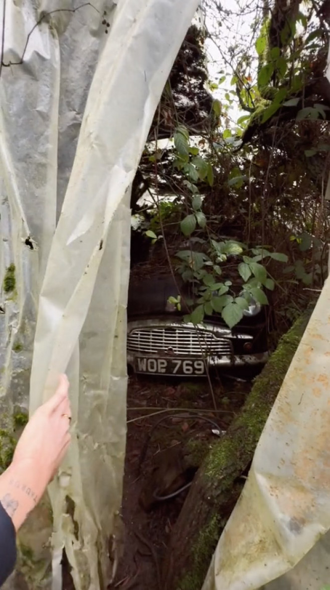 Woman finds vintage car graveyard in 'spooky' UK forest