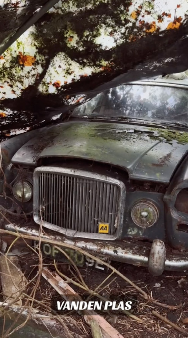 Woman finds vintage car graveyard in 'spooky' UK forest