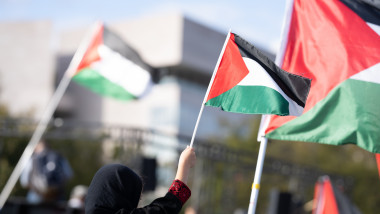 steagul palestinei