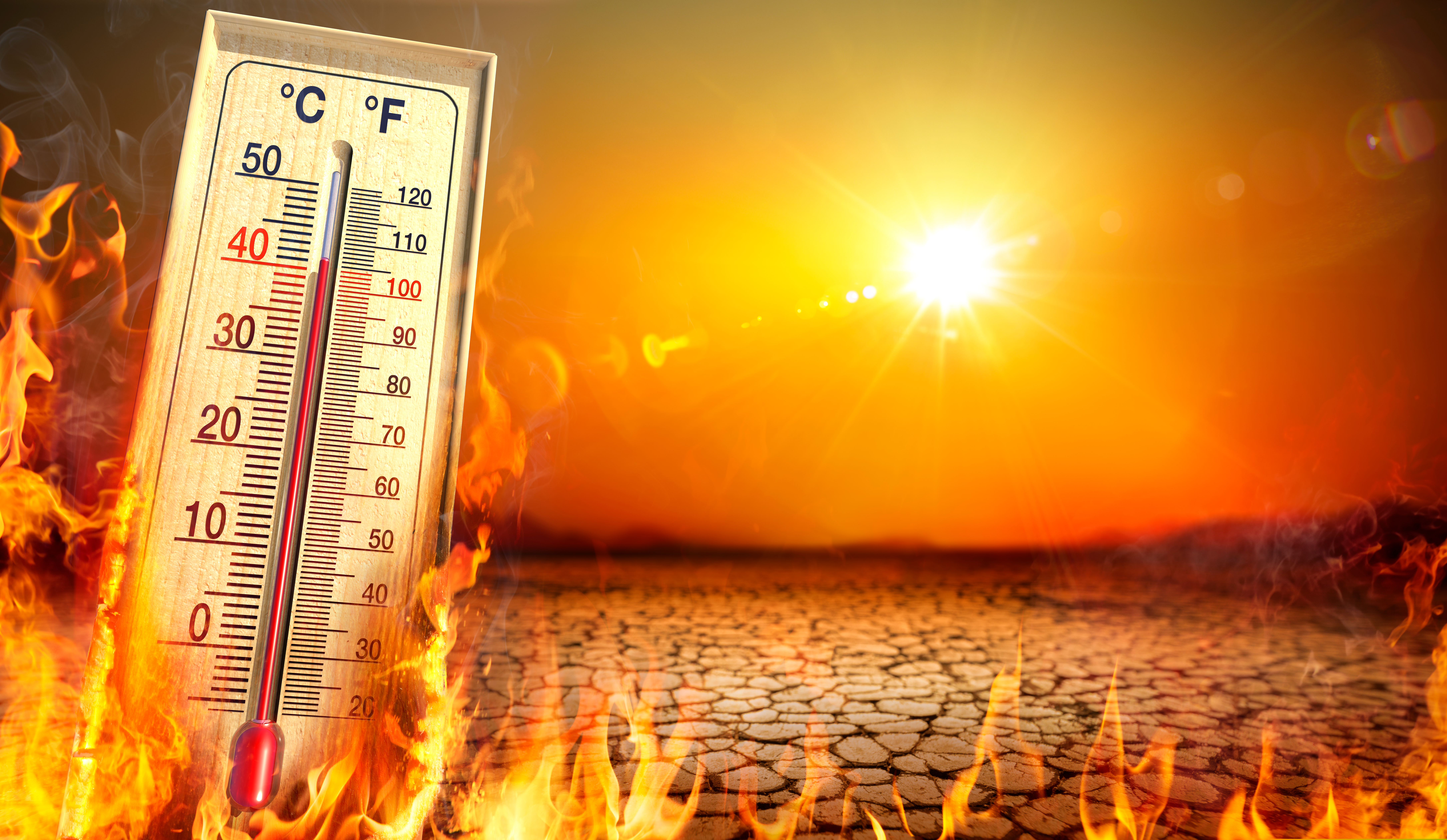 De ce valurile caniculare timpurii sunt mai periculoase decât cele din timpul verii. Avertismentul unui climatolog