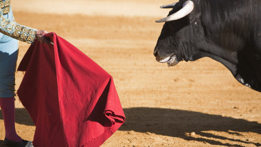 toreador taur in arena la corida