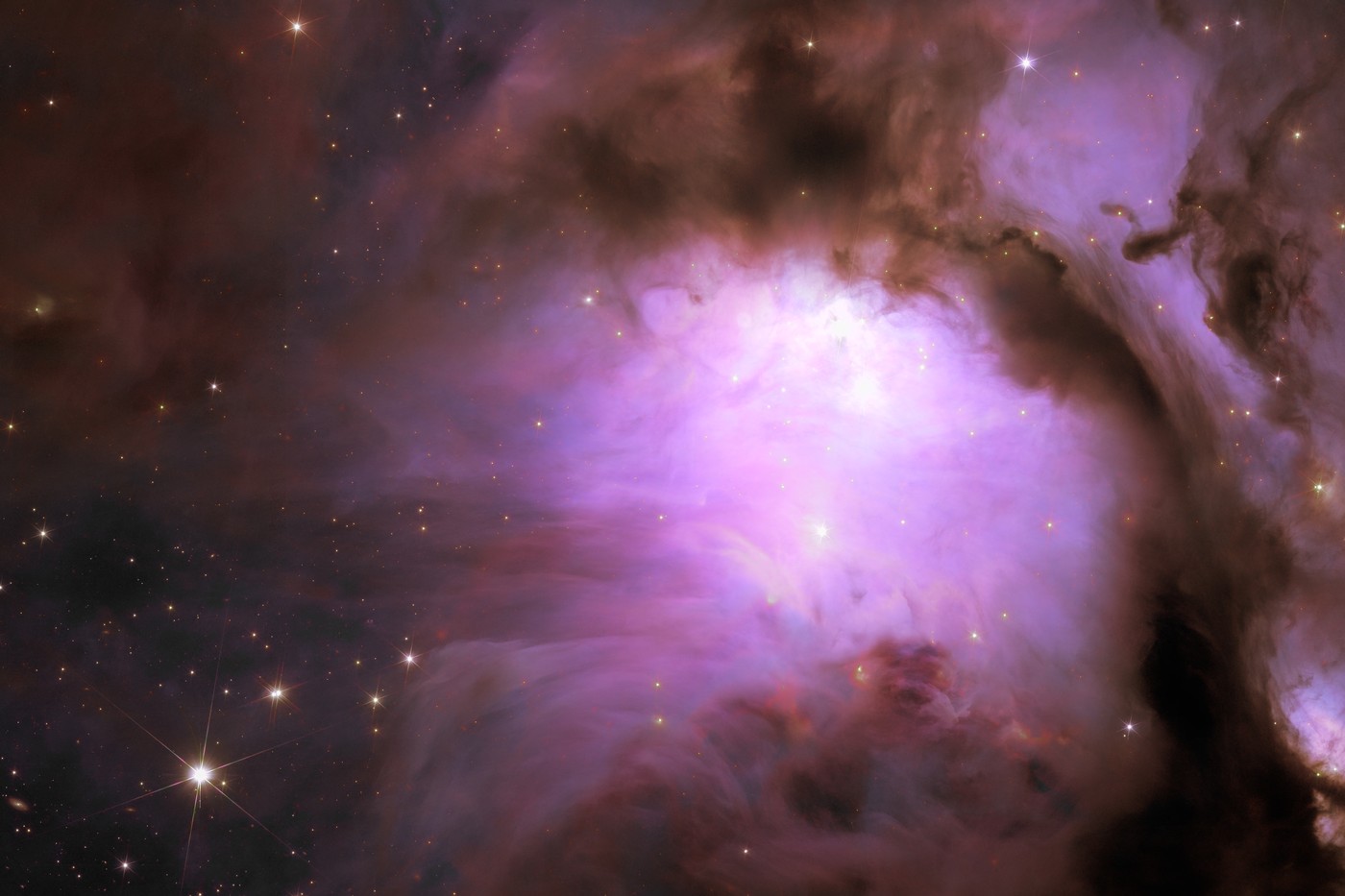 „Nu am mai văzut niciodată aşa ceva”. Telescopul Euclid a surprins noi imagini spectaculoase ale Universului. Ce au descoperit experții