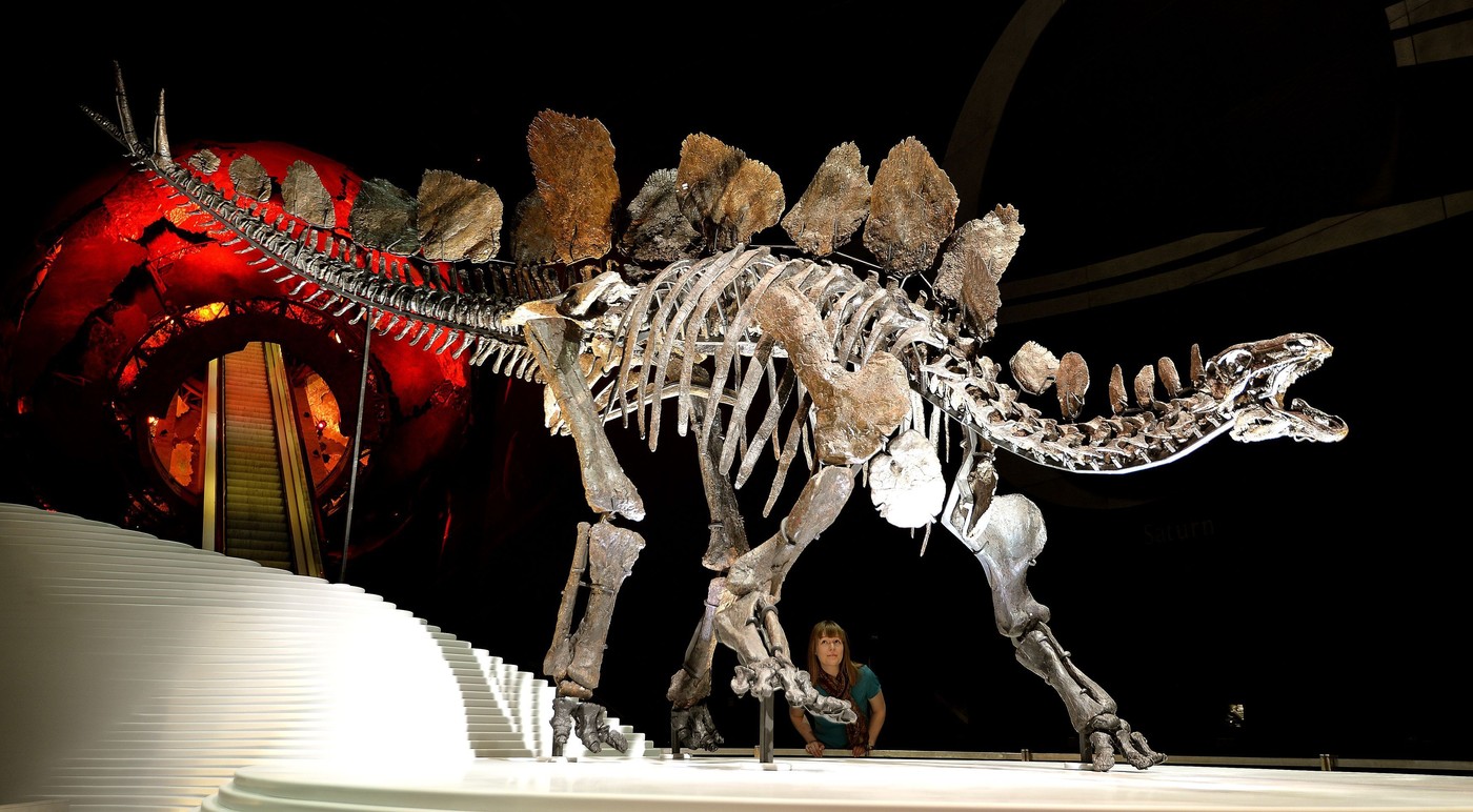 Un vânător de dinozauri a ieșit la plimbare de ziua lui și a descoperit o fosilă care îi va aduce acum milioane de dolari