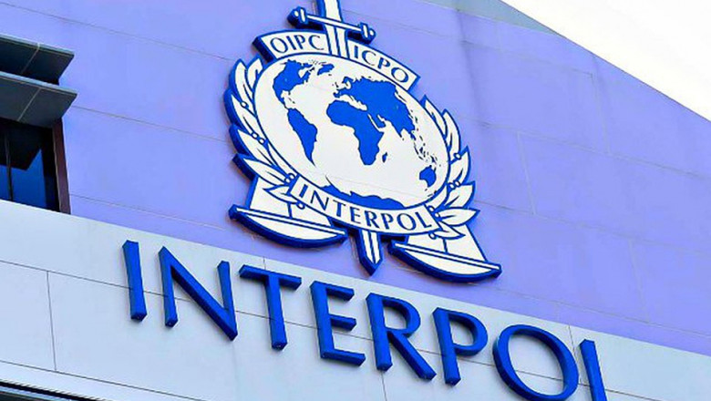 emblema interpol pe sediu