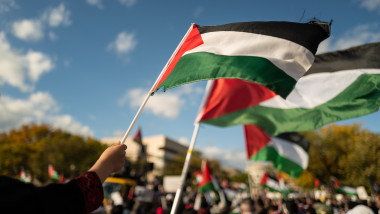 persoane care tin in maini steagul palestinei