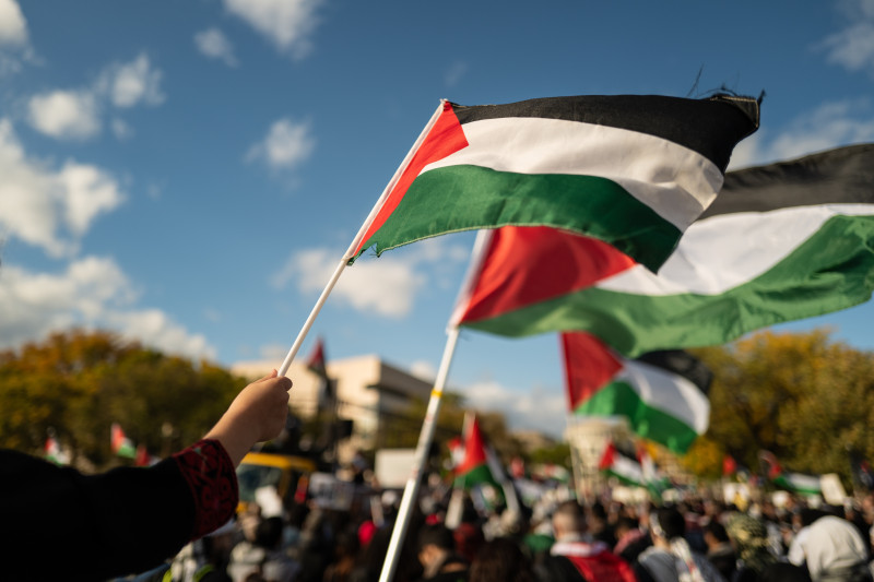 persoane care tin in maini steagul palestinei