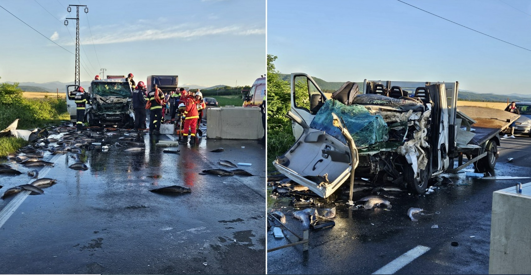 Accident mortal pe DN1, în Prahova. În urma impactului a două vehicule, sute de pești au ajuns pe șosea