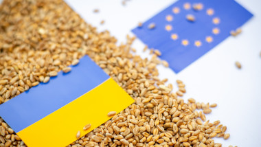 cereale si steagul ucrainei si al ue