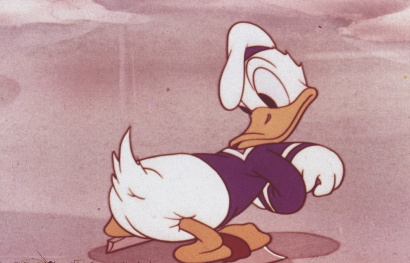 donald duck 3 profimedia