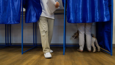un alegator iese din cabina de vot la alegerile locale 2024