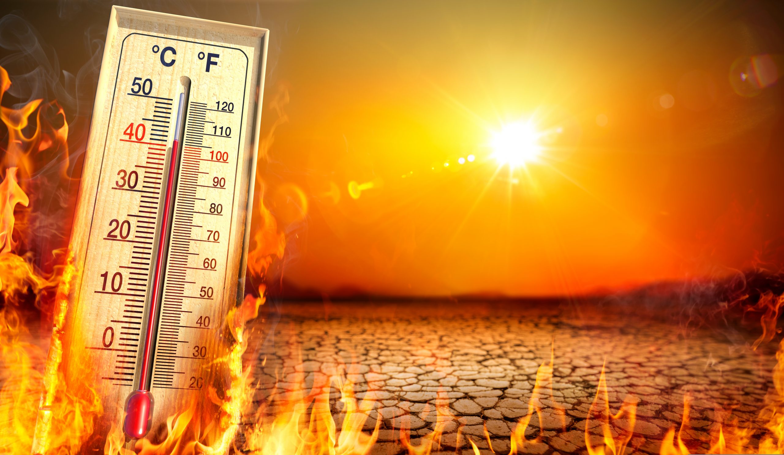 SUA se pregătesc pentru un val de căldură care va aduce zilnic „câteva zeci de recorduri” de temperatură