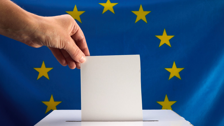 persoana care voteaza la alegerile europarlamentare