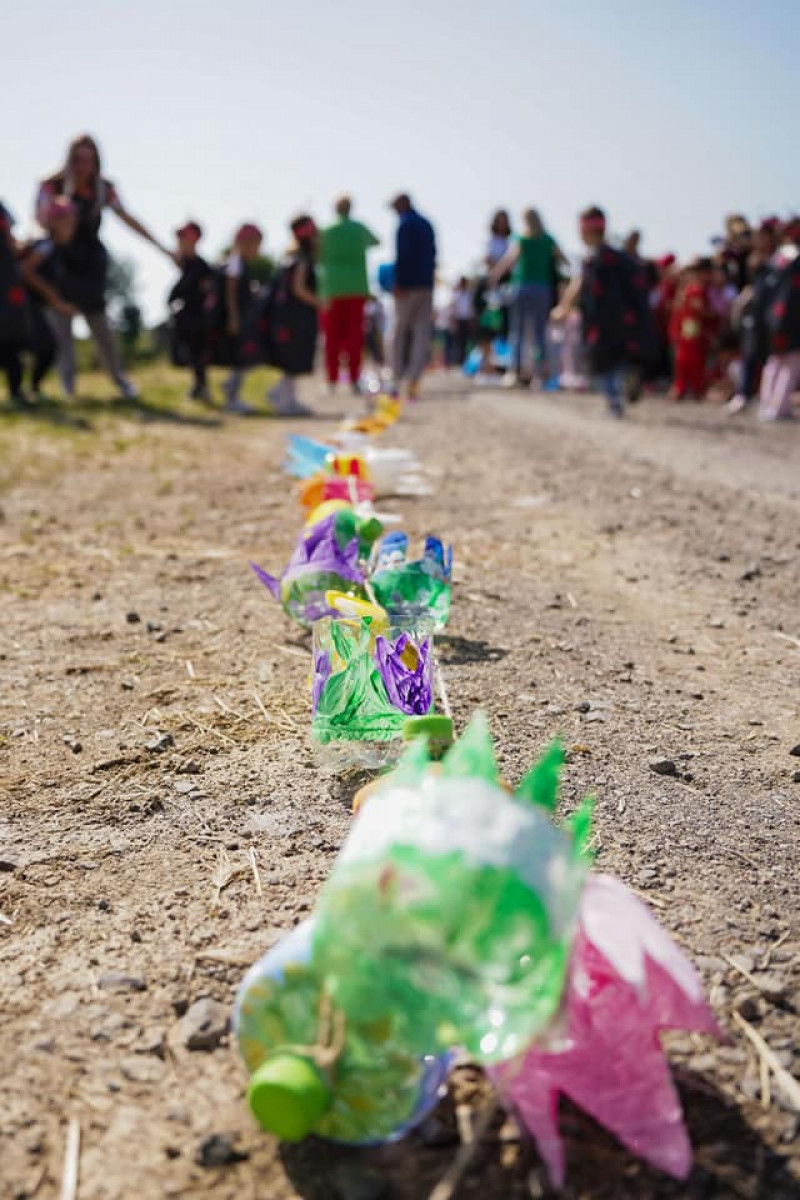 reciclare peturi satu mare