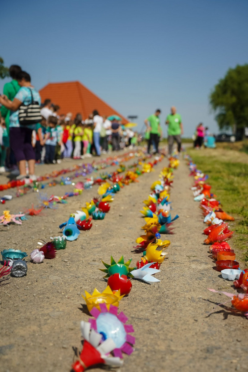 reciclare peturi satu mare