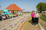 reciclare peturi satu mare