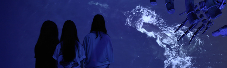 Dispariția balenelor nordice