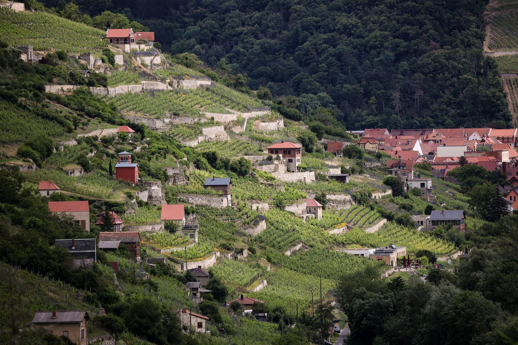 Poți primi până la 30.000 de euro dacă vrei să îți cumperi o casă în Toscana. Care sunt condițiile pentru programul lansat de Italia