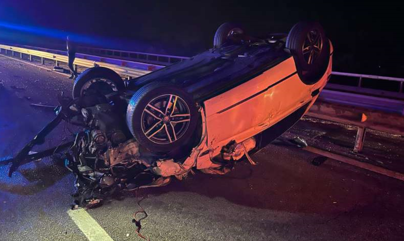 FOTO. Accident provocat pe autostrada A3 de o bovină care a intrat pe carosabil. O maşină s-a răsturnat