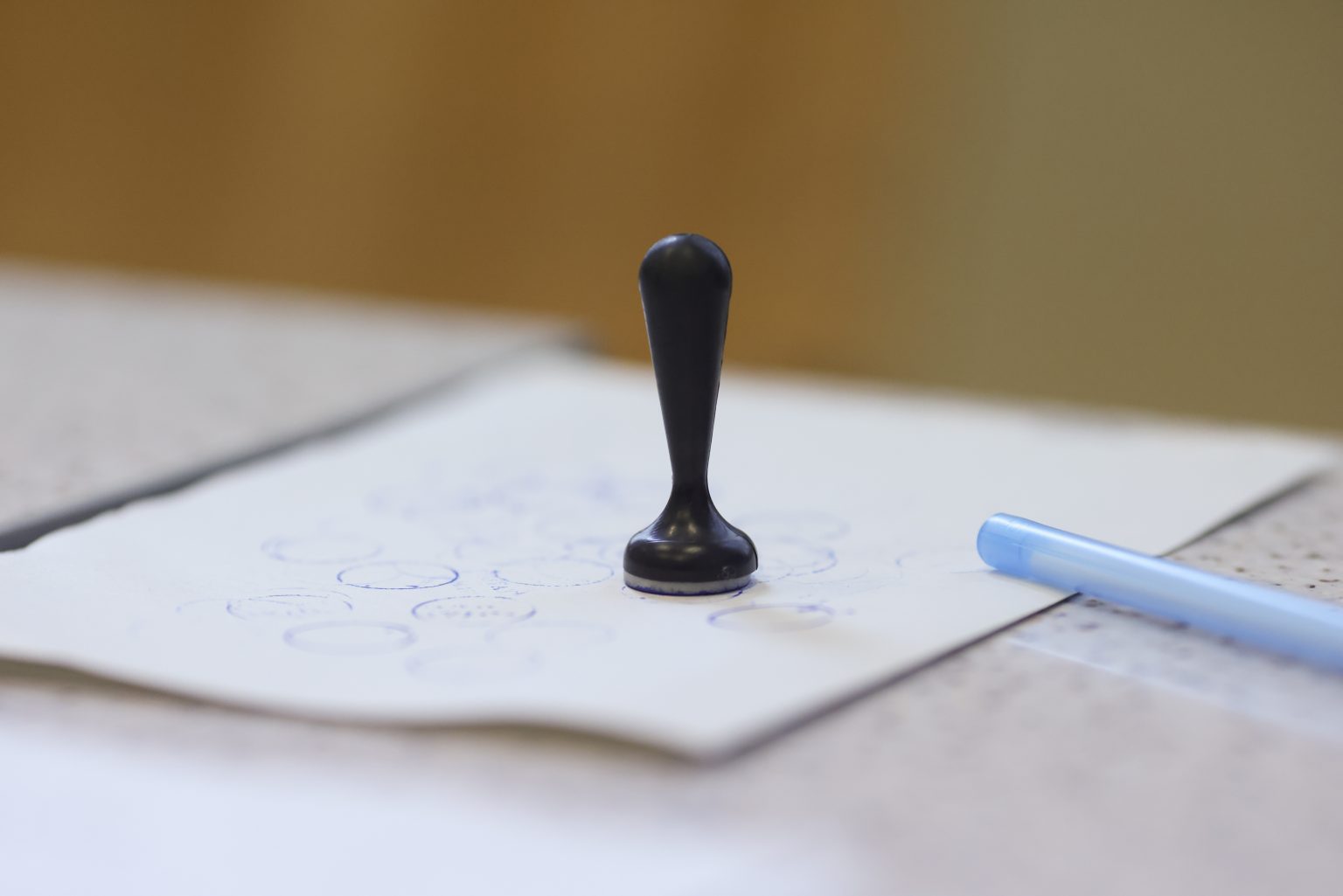 Cum sună întrebarea pe care PSD vrea să o adauge la referendumul lui Nicușor Dan