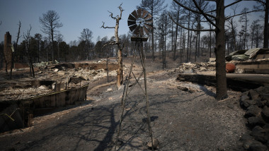 incendiu in new mexico