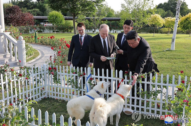 Putin's new dogs