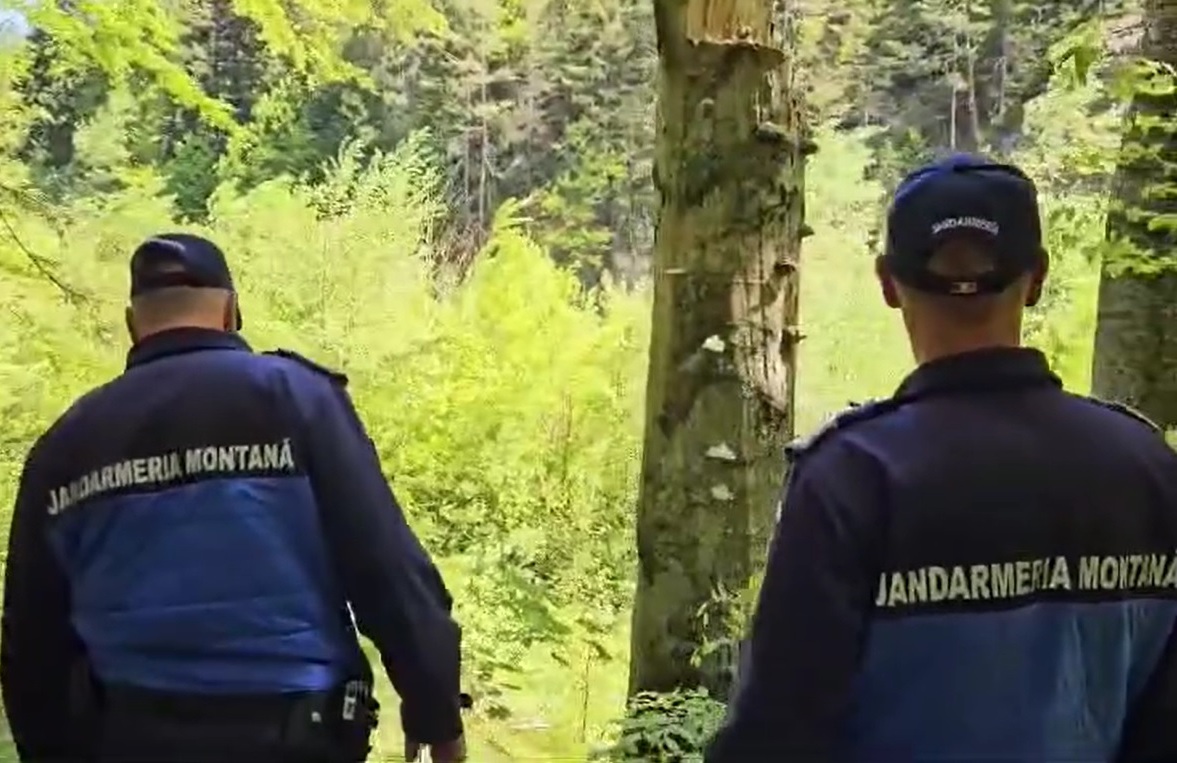 Doi turiști au fost atacați de un urs în Slănic Moldova