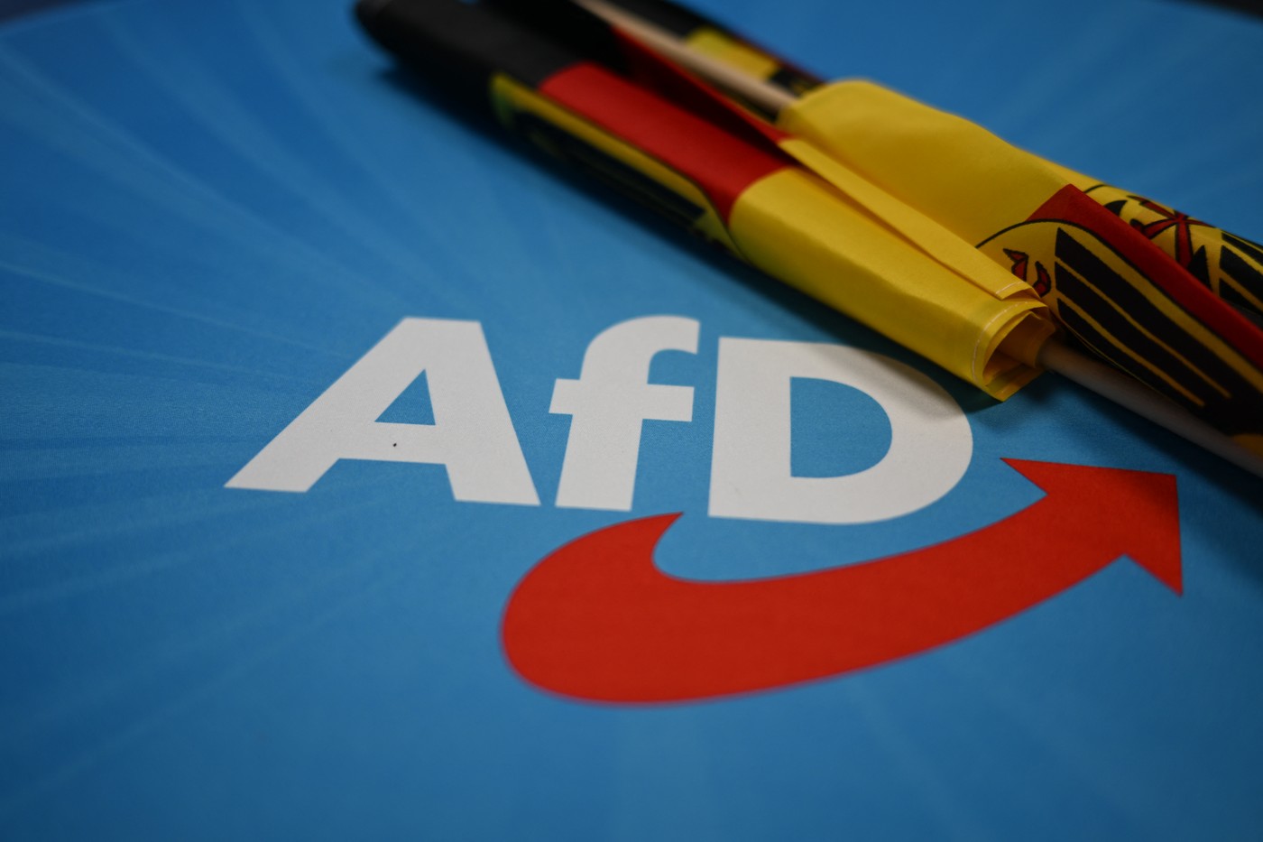 Partidul de extremă dreapta AfD înființează grupul „Suveraniștii” în Parlamentul European. Diana Șoșoacă ar putea fi membru (presă)