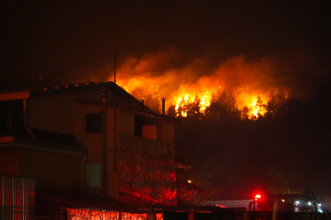 Wildfires rage Turkiye's Izmir