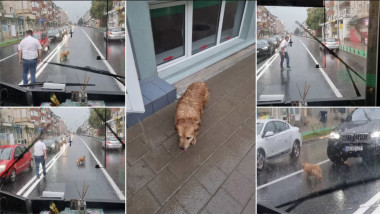 Șoferul din Alba Iulia care a salvat viața unui câine. Foto: Ziarul Unirea