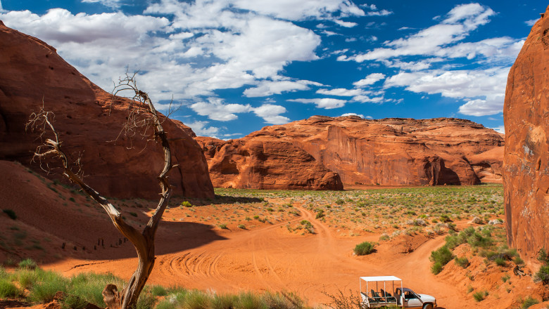 navajo sua