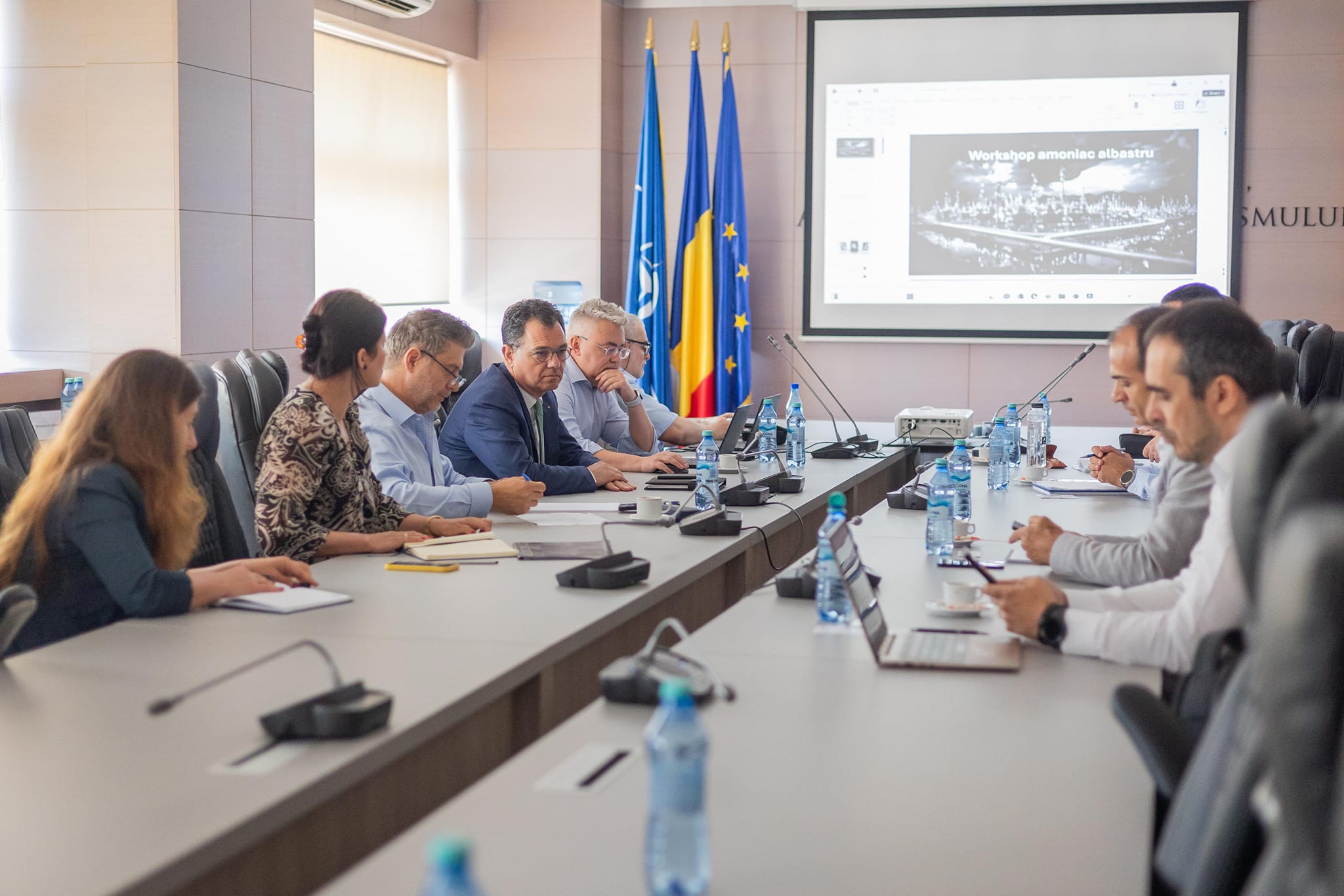 România ar putea produce amoniac albastru, spune ministrul Economiei