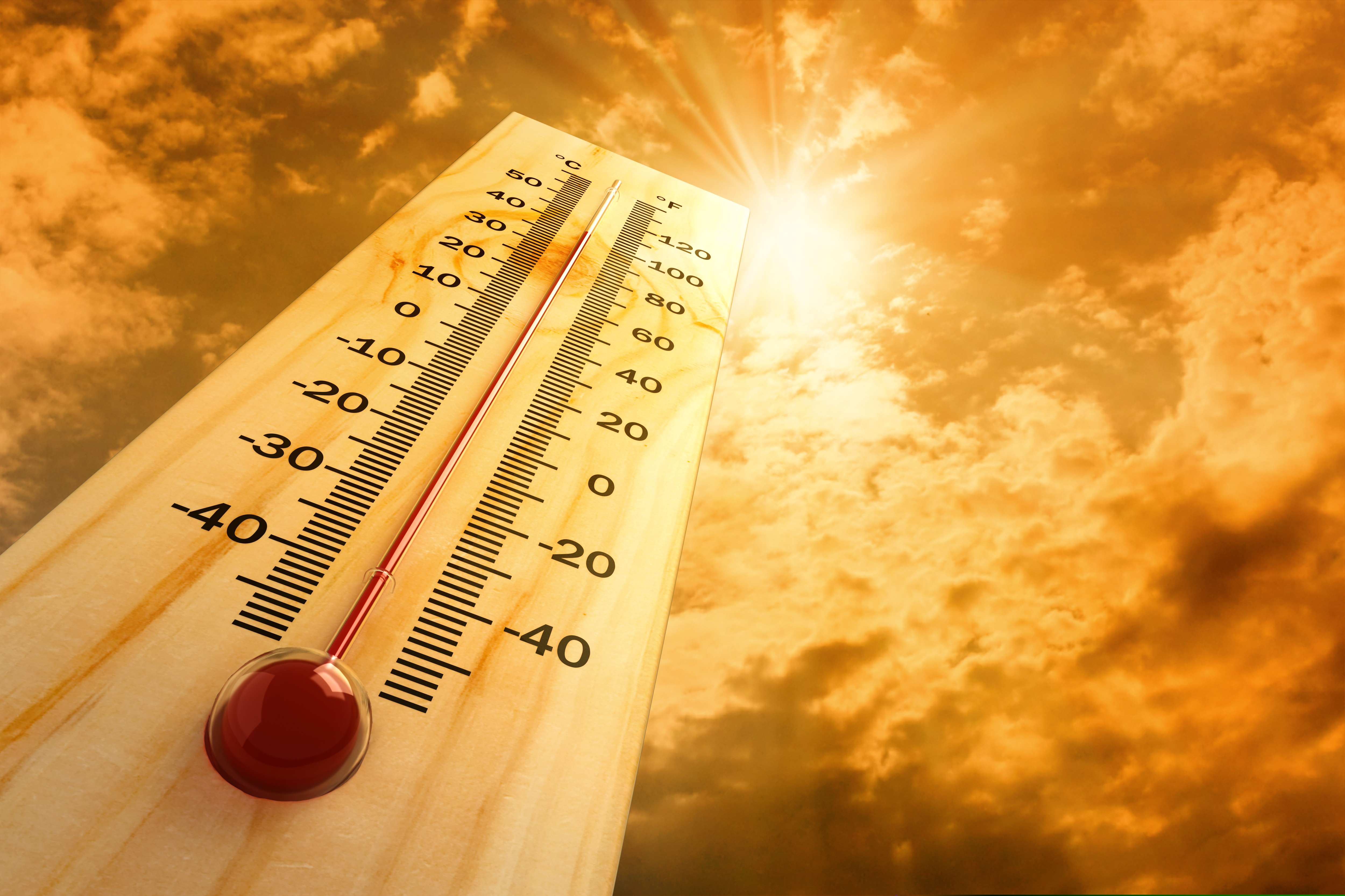 Prognoza meteo pentru următoarele două săptămâni. Cum va fi vremea în fiecare regiune