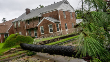 un copac a căzut pe o stradă din texas sua din cauza uraganului beryl