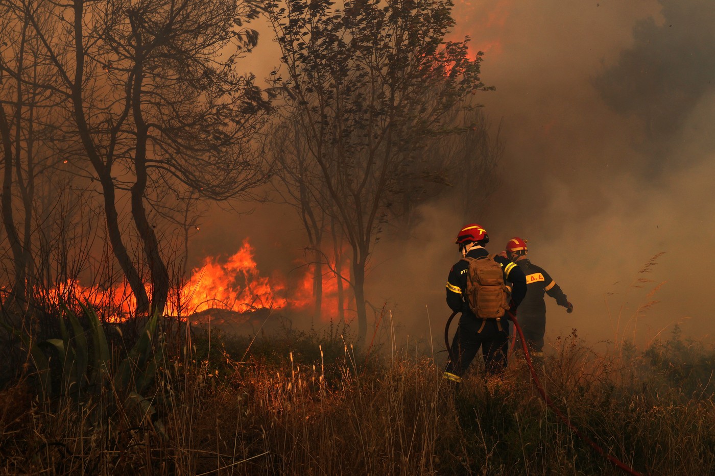 Incendii puternice de vegetație în apropierea Atenei. Case făcute scrum, peste 50 de localnici evacuați