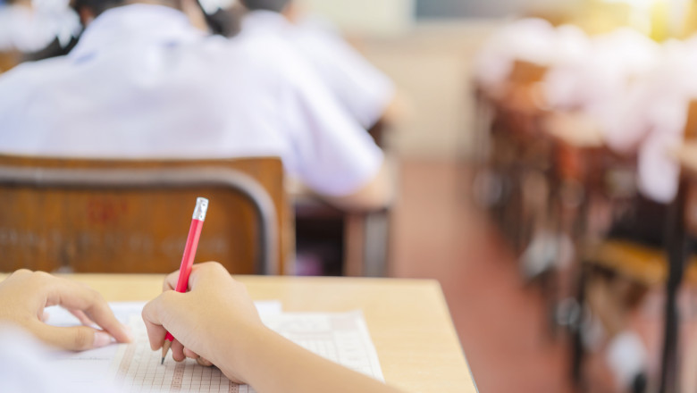 Ligia Deca despre rezultatele slabe de la Evaluarea Națională: Nu putem să comparăm generațiile, nu avem o evaluare standardizată