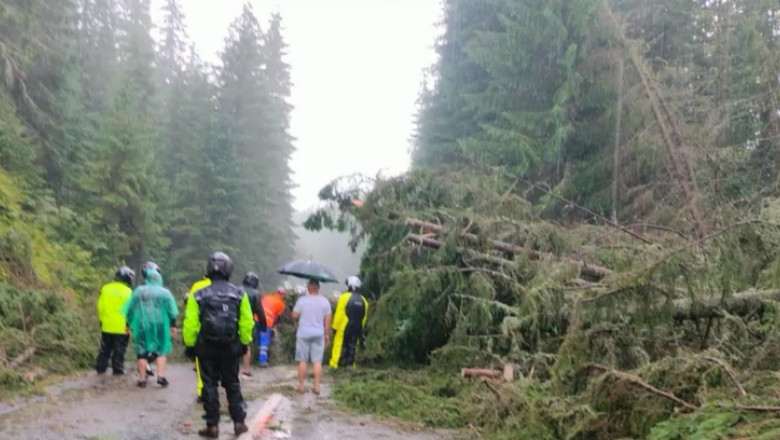 transalpina