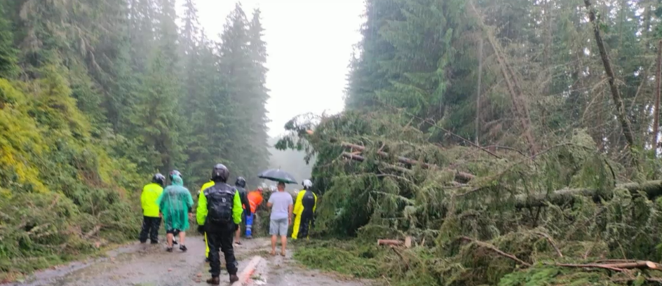 Furtună violentă pe Transalpina. Zeci de mașini sunt blocate din cauza copacilor smulși de vânt și aruncați pe șosea