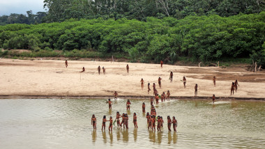 băștinași necontactați din Amazon fug de tăietorii de lemne