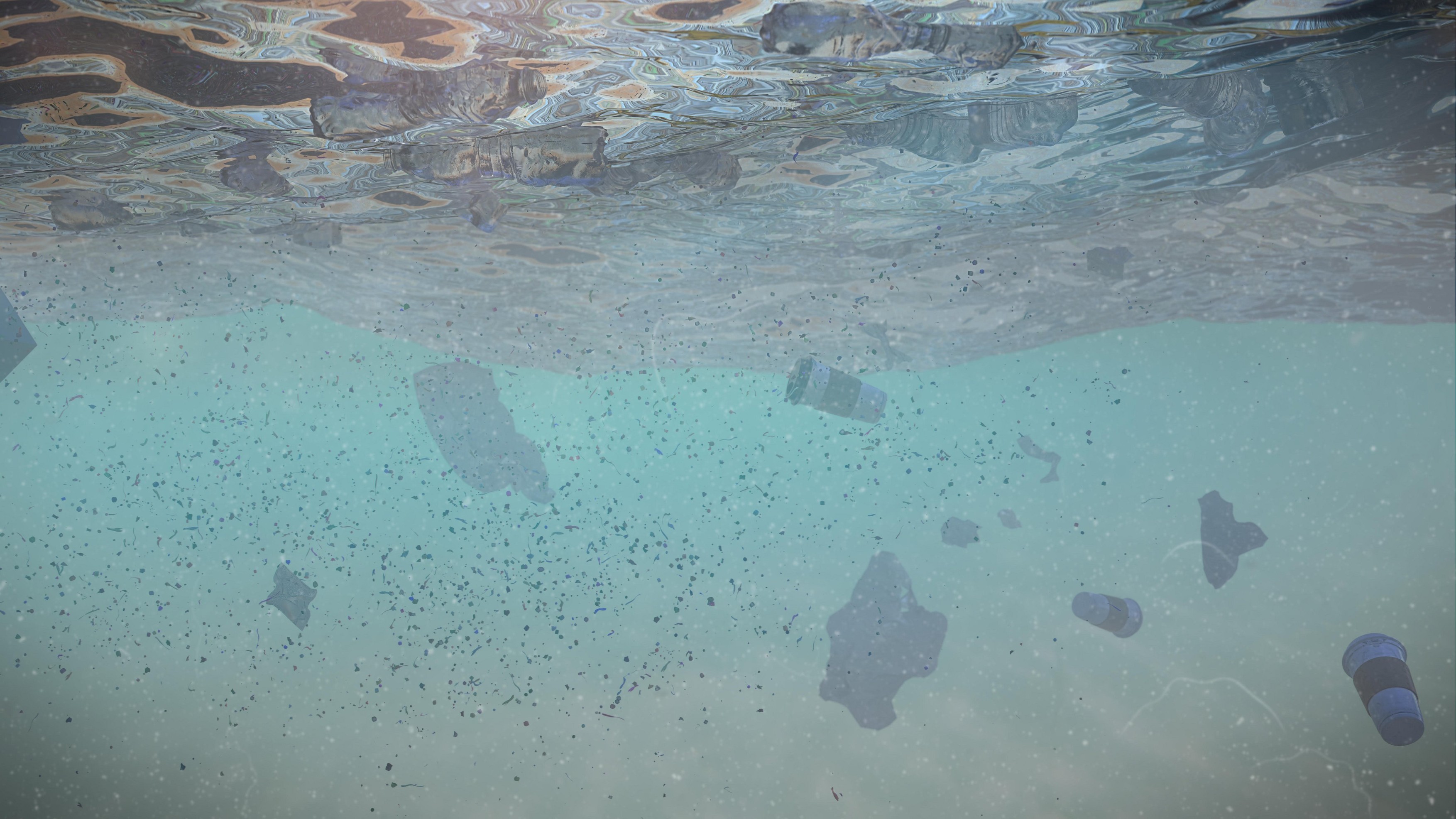 Studiu. Microplasticele pătrund adânc în organismele peștilor, apoi în corpul uman