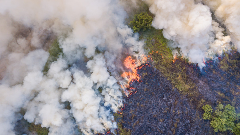 incendiu de vegetație