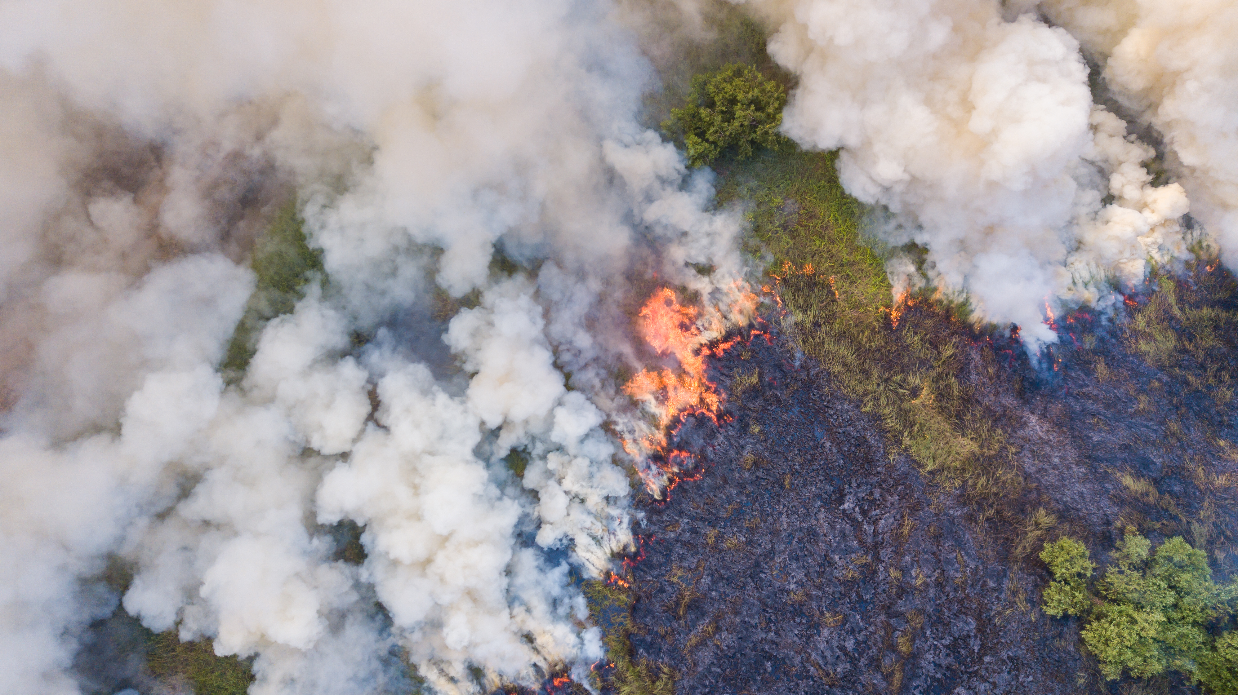 Record de incendii de vegetaţie în România. Numărul s-a triplat față de luna iunie a anului trecut