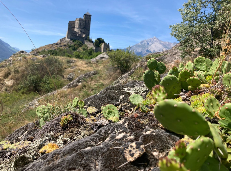 Muzeu-istorie-valais