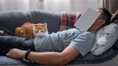 Bărbat doarme pe canapea cu o pisică pe piept
