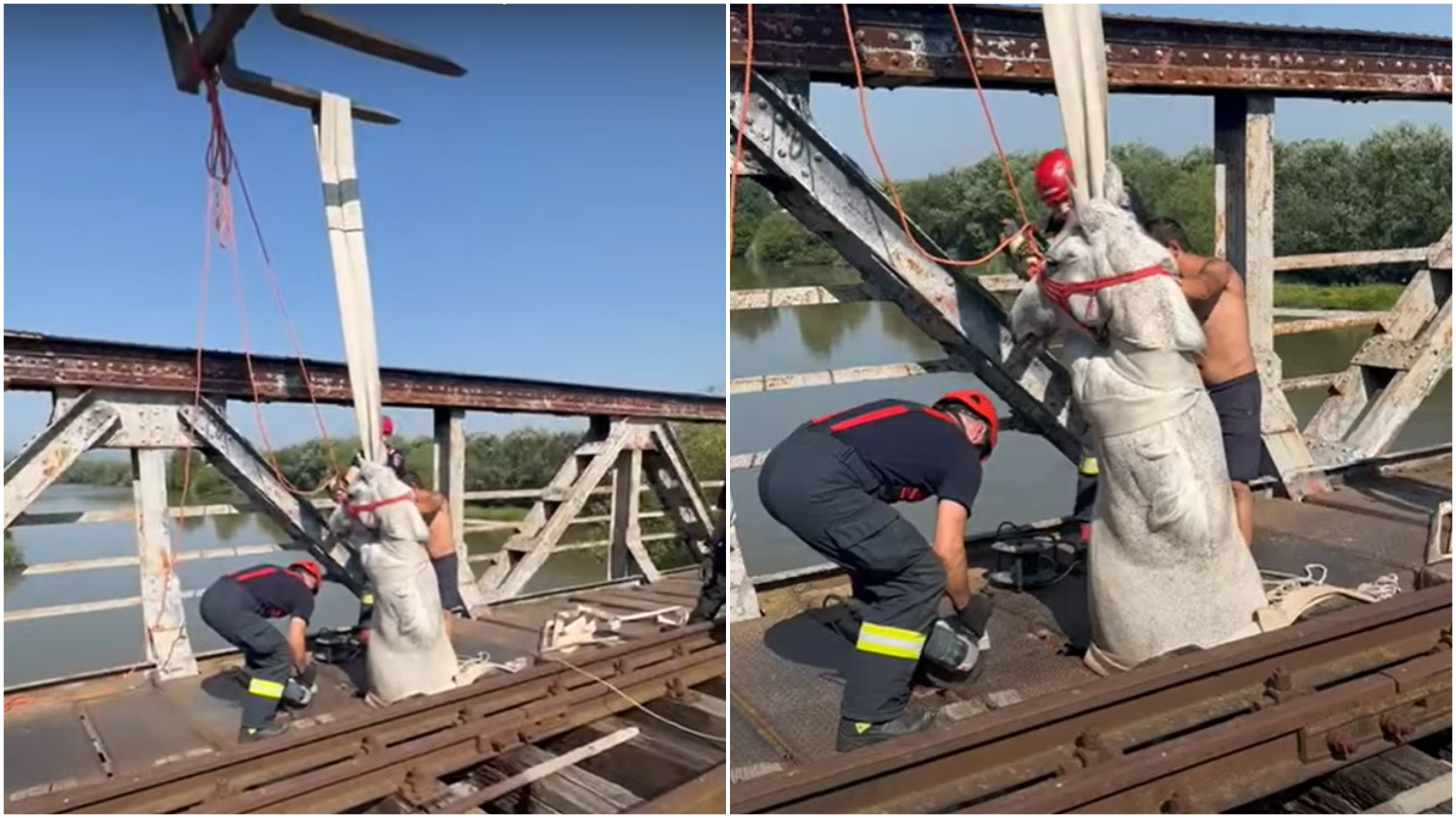 Un cal a rămas blocat pe un pod vechi din Ocna Mureș, după ce o tablă de fier a cedat sub greutatea lui