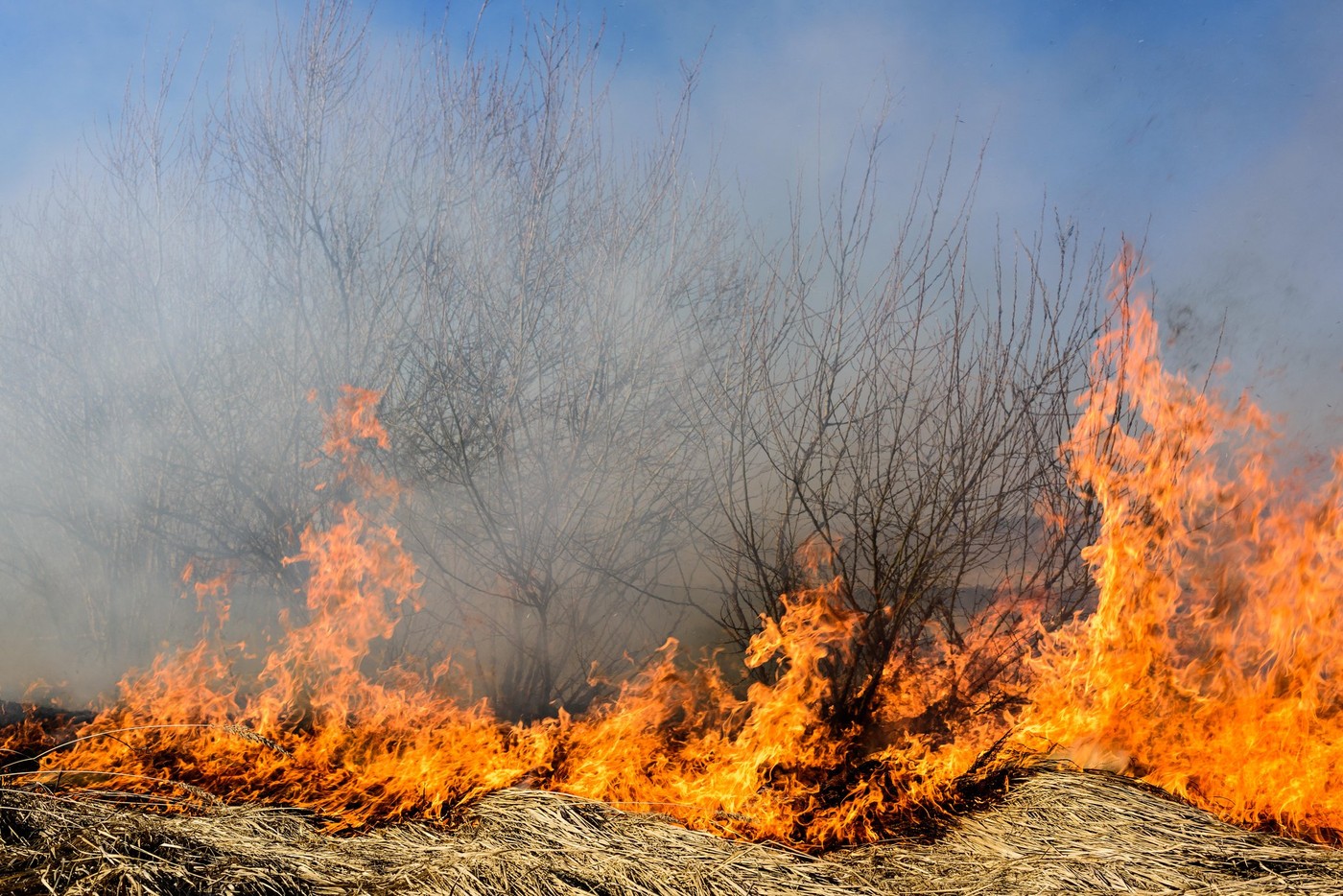 Incendiu puternic lângă Ploiești. Focul s-a extins pe 30 de hectare și riscă să ajungă în apropierea unui cartier cu blocuri