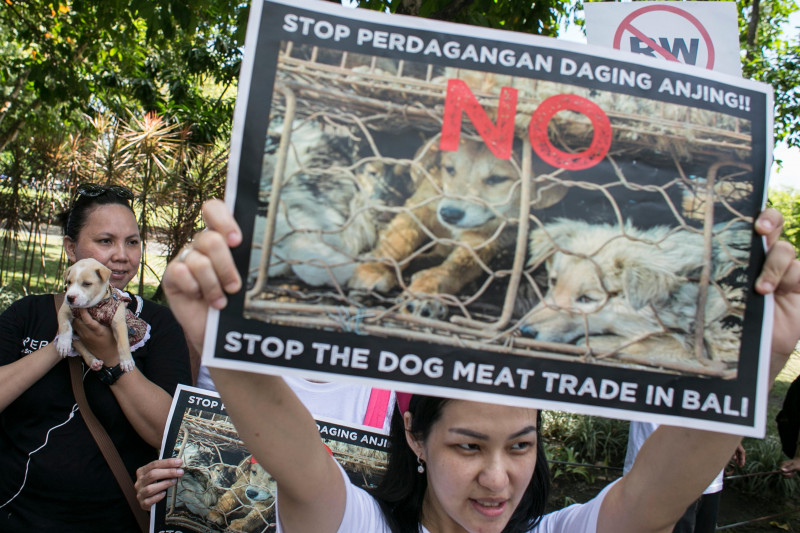 Bali, Indonesia. 4th Apr, 2015. Activists holds posters during Global March Against Dog Meat in Denpasar, Bali. The protests being held to urges the governments of Bali to stop dog meat trade for consumption, which locally known as "RW" or food that made