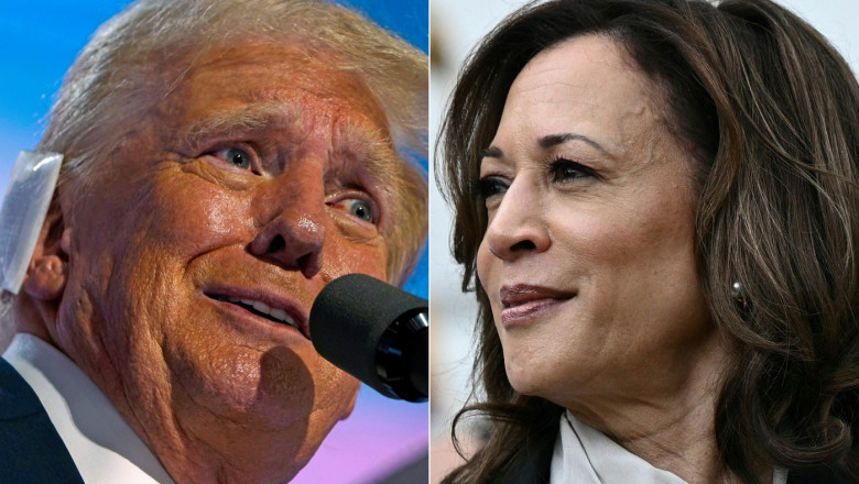 trump kamala