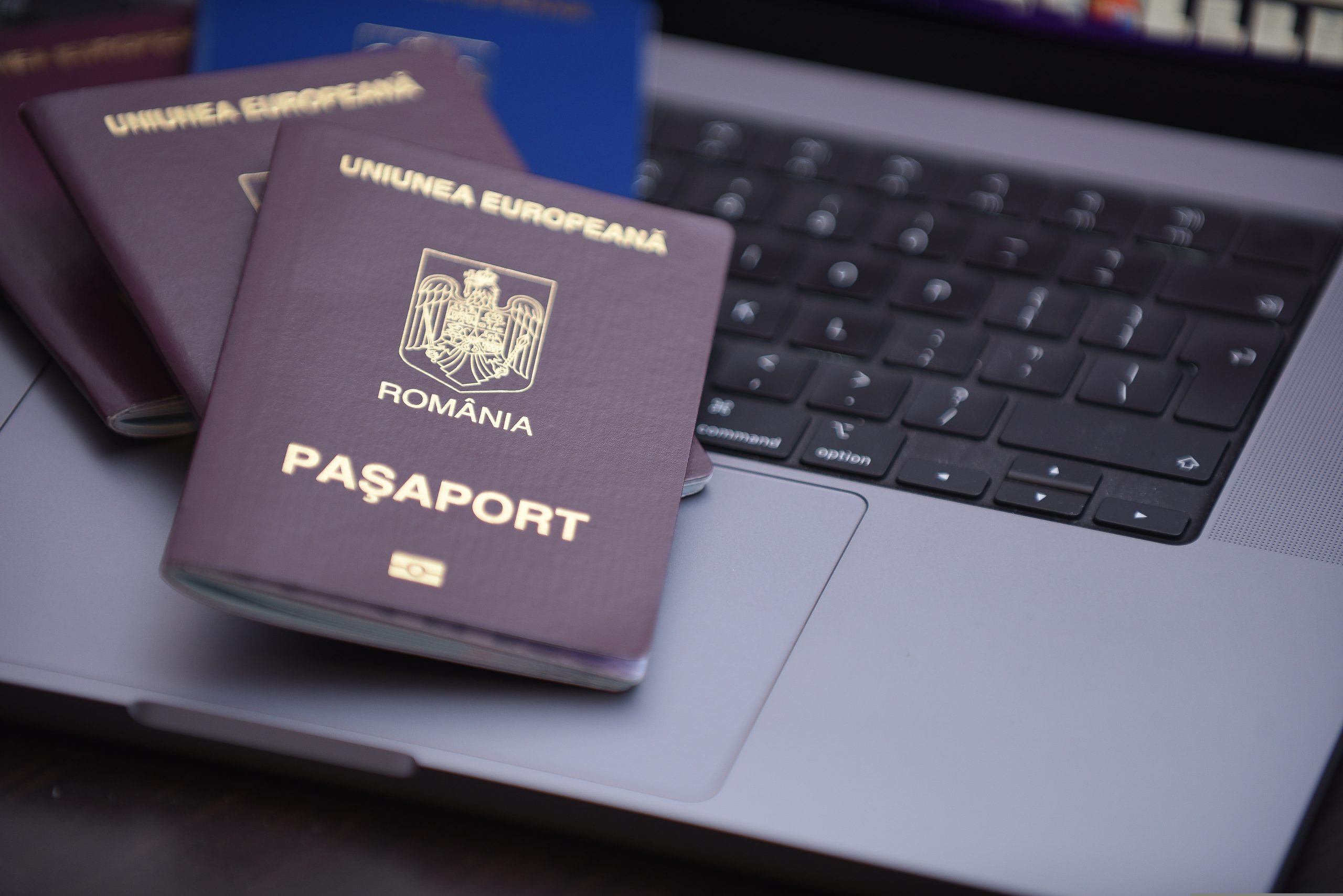 Rețea uriașă care a falsificat 10.000 de acte de identitate pentru ruși, ucraineni și moldoveni, descoperită într-o comună din Botoșani