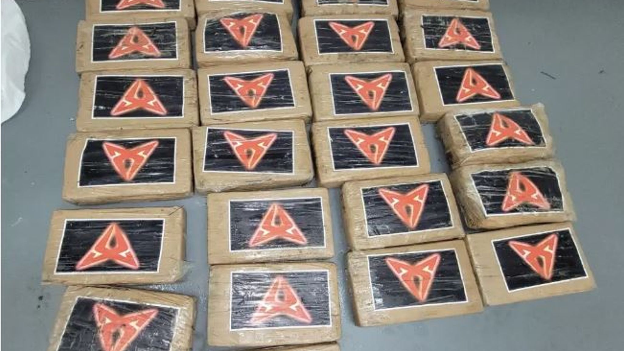 Cocaină în valoare de peste 1 milion de dolari, găsită de un „bun samaritean” pe o plajă din Florida după furtuna Debby